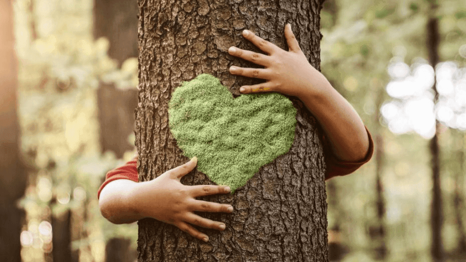 Día del Árbol