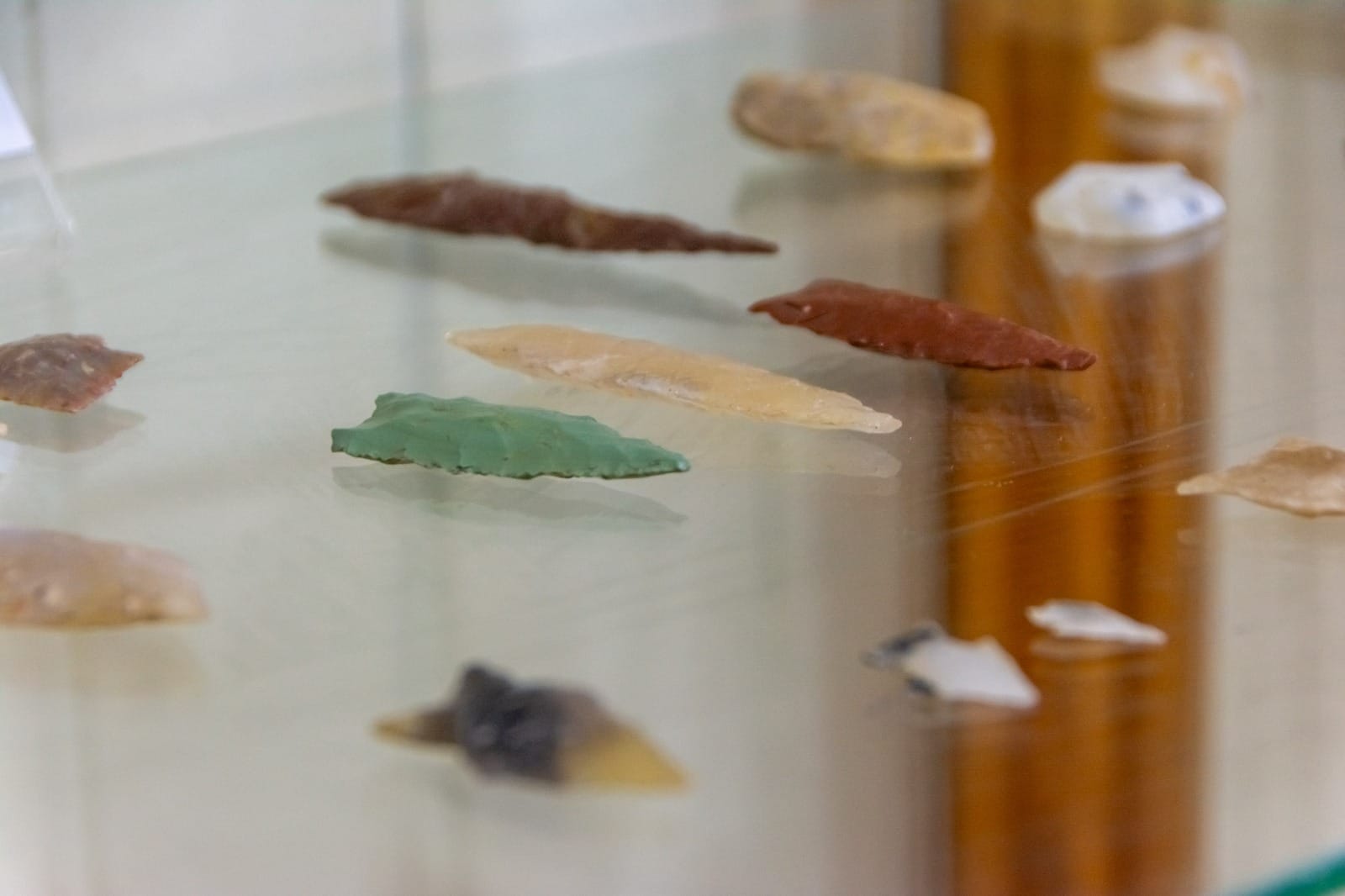 muestra pueblos originarios