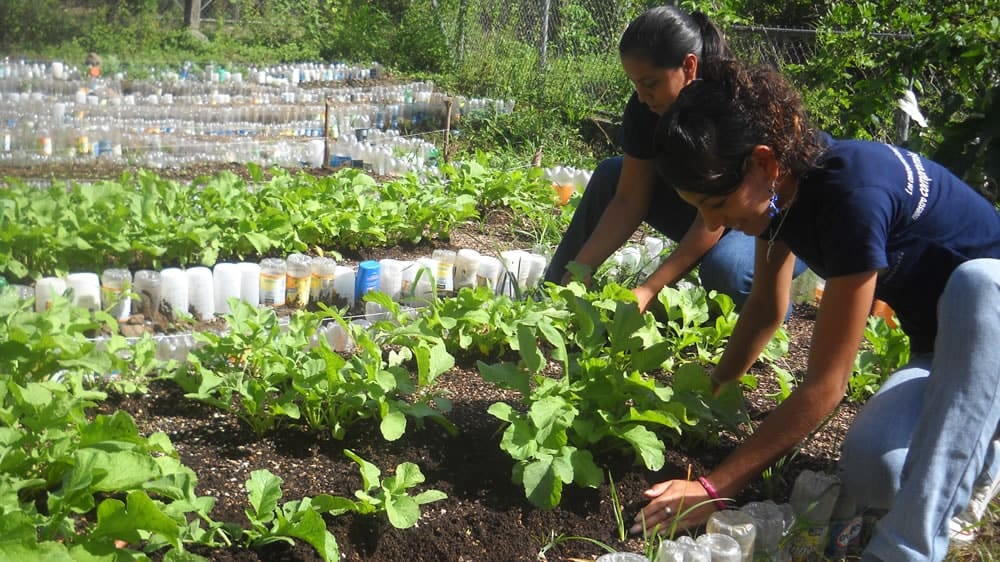 mujeres agro