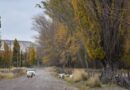 Pronóstico del clima para el jueves 18 de abril en el Valle