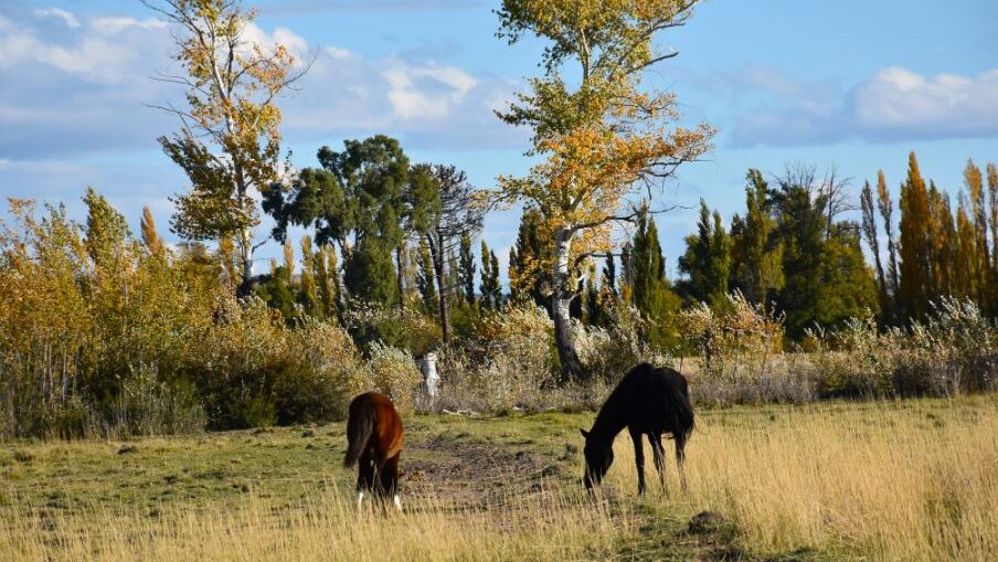 Clima viernes 30 de mayo
