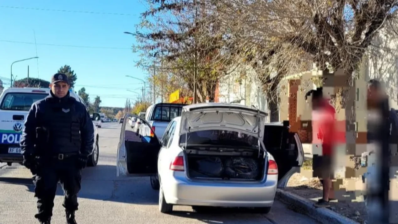 carne de guanaco y equino