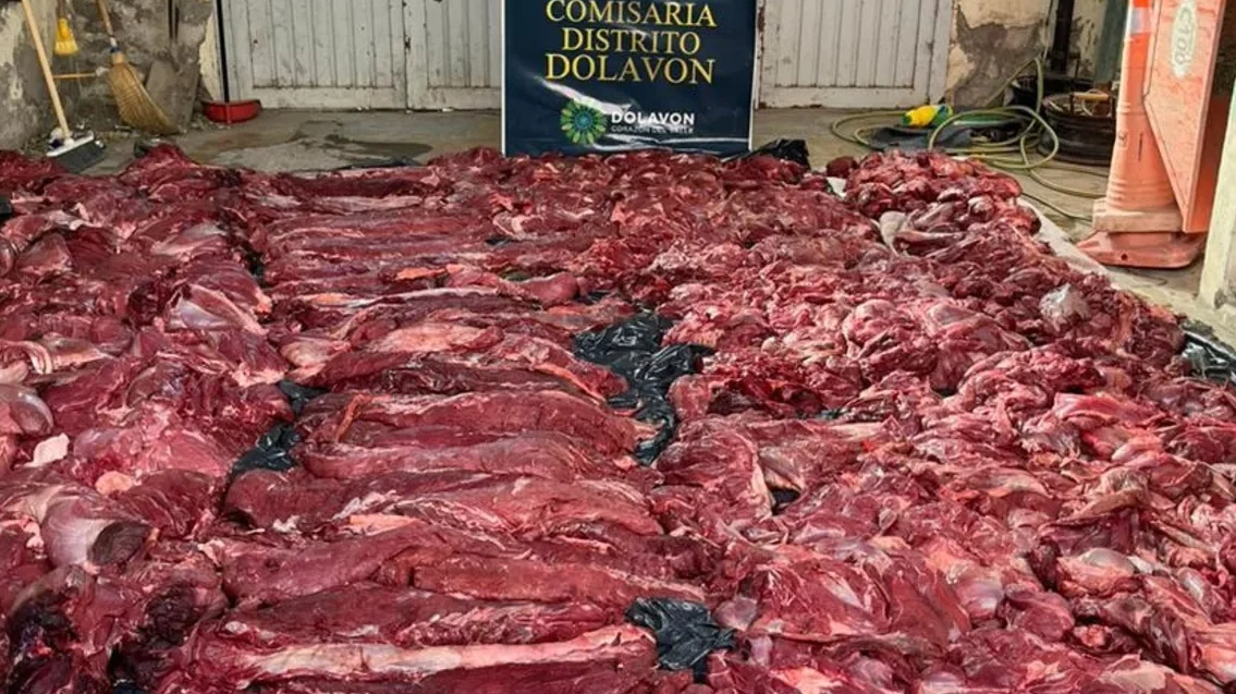 tonelada carne guanaco