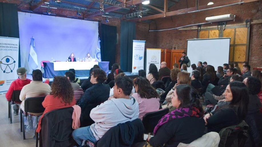 consejo provincial discapacidad
