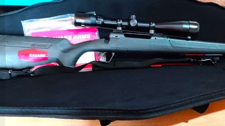 arma de fuego Dolavon