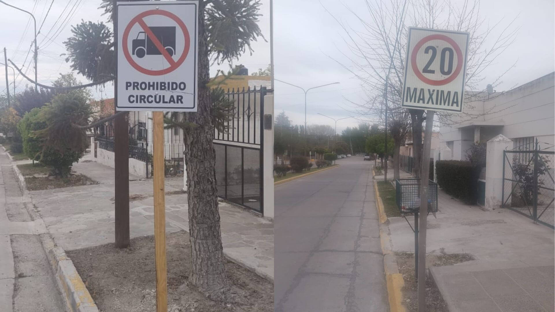 camiones