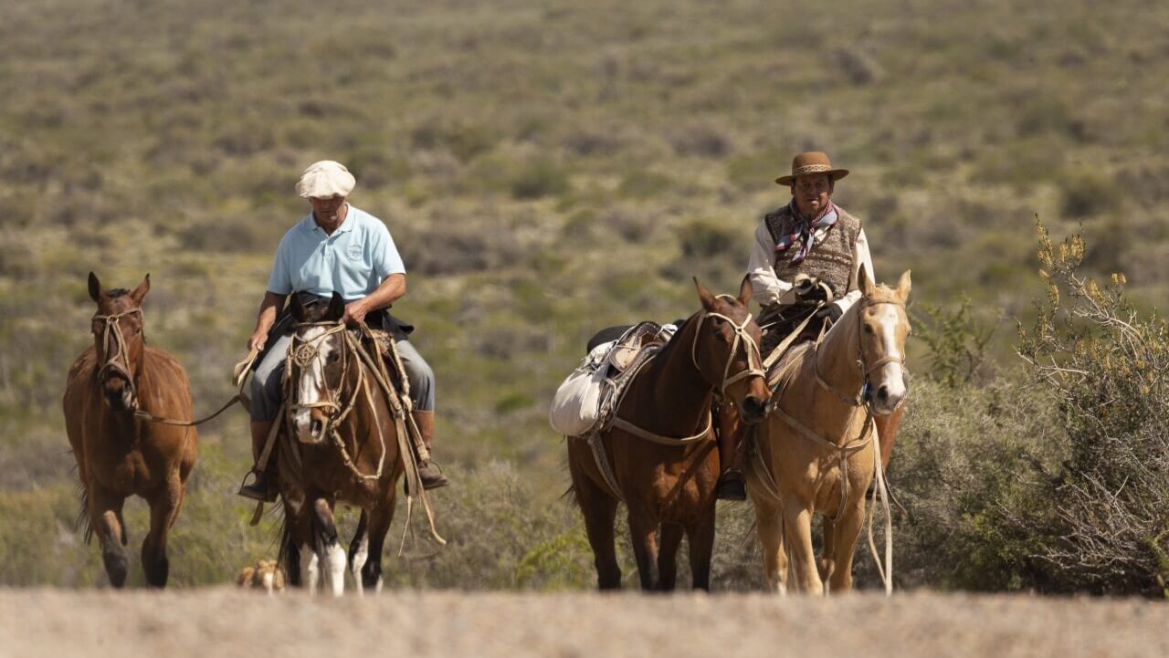 cabalgata Gaiman