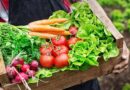 verduras agroecológicas