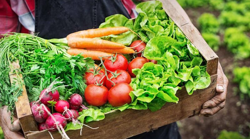 verduras agroecológicas