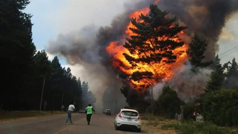 colecta bomberos