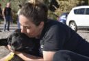 Realizan una rifa para seguir ayudando a los animales en Gaiman