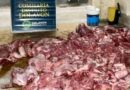 Decomisaron 300 kilos de carne de guanaco en Dolavon